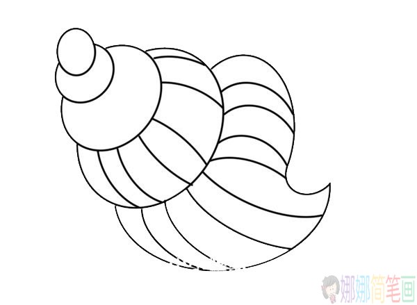 海螺简笔画步骤,海螺简笔画图片大全