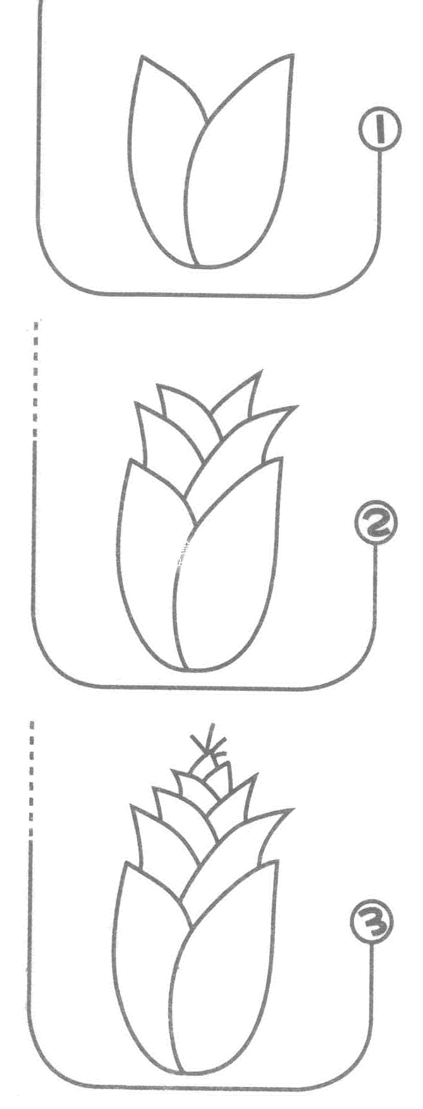 竹笋简笔画图片大全,竹笋简笔画教程