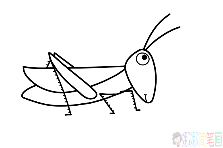 蚂蚱简笔画,简单好看的蚂蚱简笔画画法步骤图解