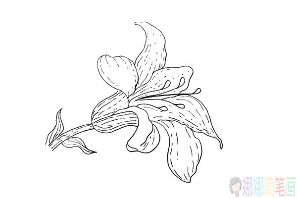 百合花儿童简笔画图片教程