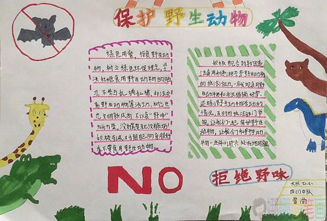 关于保护野生动物人与自然共生拒绝野味手抄报