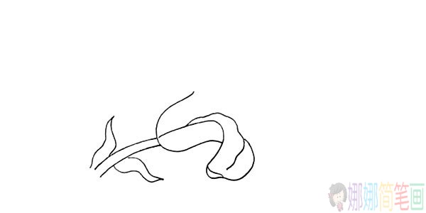 百合花儿童简笔画图片教程