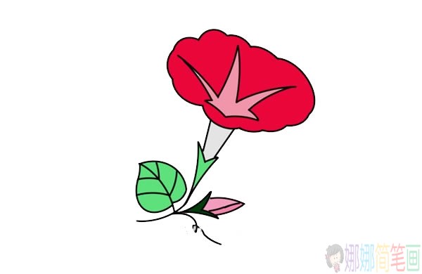 牵牛花简笔画,美丽的牵牛花简笔画画法步骤图片