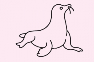 海狮简笔画图片大全，可爱海狮简笔画