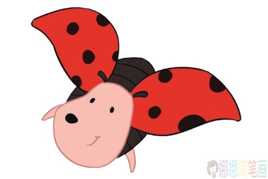 可爱的卡通七星瓢虫简笔画的画法步骤教程及图片大全