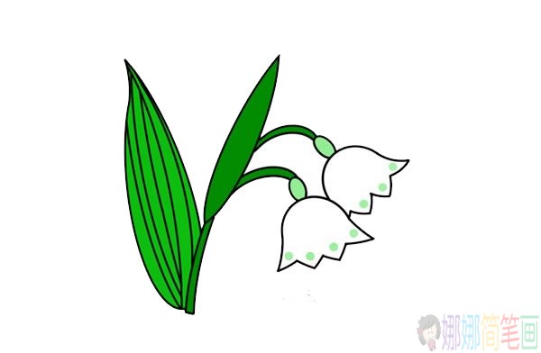 铃兰花简笔画图片大全,铃兰花简笔画步骤