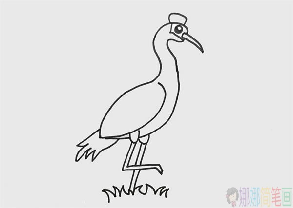 丹顶鹤简笔画画法,丹顶鹤简笔画画法步骤画法教程