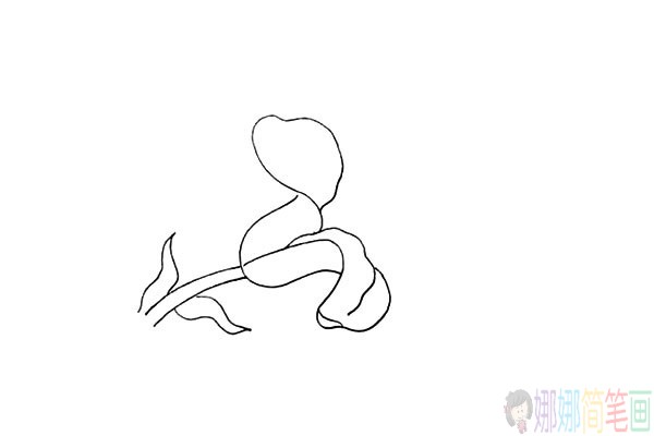 百合花儿童简笔画图片教程