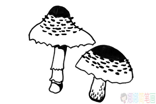 小蘑菇简笔画图片,蘑菇儿童画教程