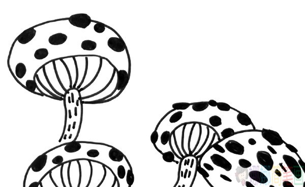 小蘑菇简笔画图片,蘑菇儿童画教程