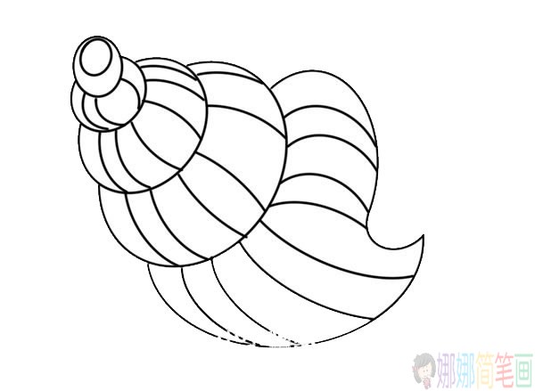 海螺简笔画步骤,海螺简笔画图片大全