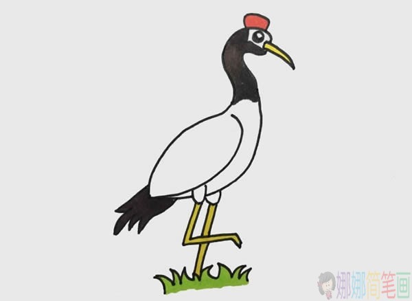 丹顶鹤简笔画画法,丹顶鹤简笔画画法步骤画法教程
