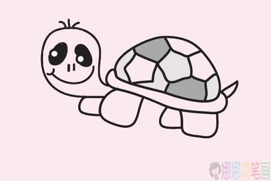 乌龟简笔画步骤图,乌龟简笔画图片大全