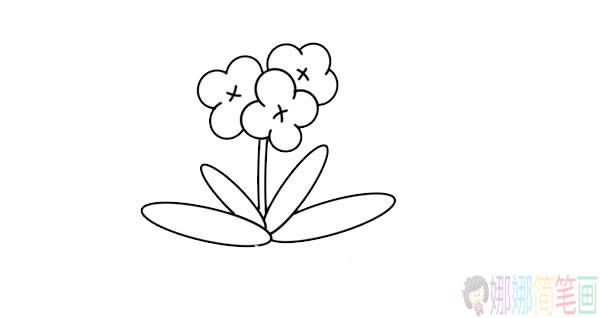 兰花简笔画图片大全,兰花简笔画步骤