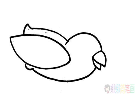 简单可爱的小鹦鹉简笔画教程