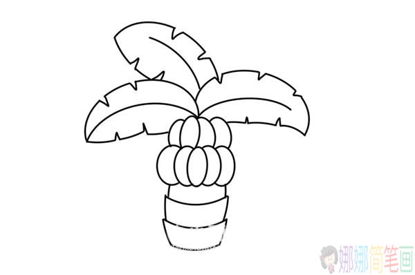 卡通香蕉树简笔画画法步骤图片