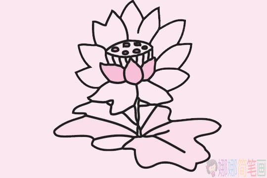荷花简笔画步骤,荷花简笔画图片大全