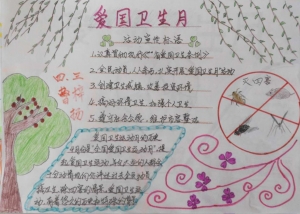 爱国卫生月手抄报内容，爱国卫生月手抄报作品赏析