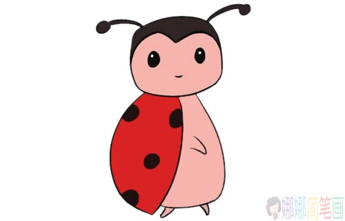 可爱的卡通七星瓢虫简笔画的画法步骤教程及图片大全