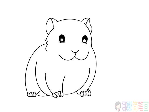 豚鼠简笔画,可爱的豚鼠简笔画画法步骤图片