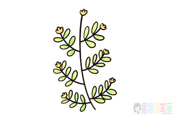 以小树杈为基础，教你画各种漂亮的小花5
