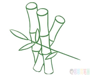 竹子简笔画图片大全,竹子怎么画简笔画
