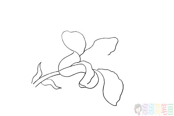 百合花儿童简笔画图片教程