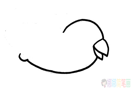 简单可爱的小鹦鹉简笔画教程