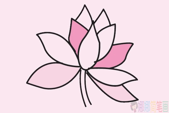 荷花简笔画步骤,荷花简笔画图片大全