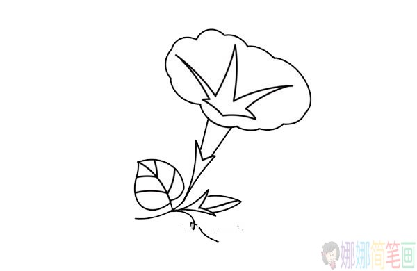 牵牛花简笔画,美丽的牵牛花简笔画画法步骤图片