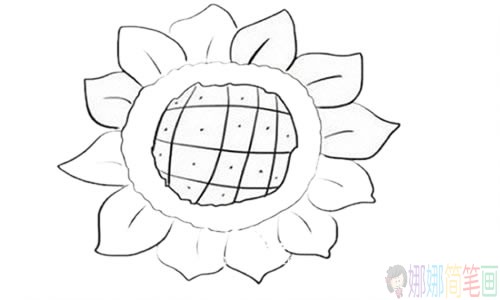 向日葵简笔画步骤,向日葵简笔画图片大全