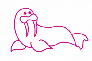海狮简笔画图片大全，可爱海狮简笔画