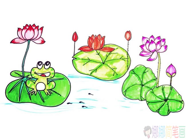 漂亮的荷花池儿童简笔画图片