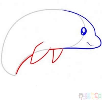 简笔画，可爱简单的海豚简笔画画法图片，详细画法步骤