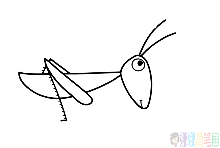 蚂蚱简笔画,简单好看的蚂蚱简笔画画法步骤图解