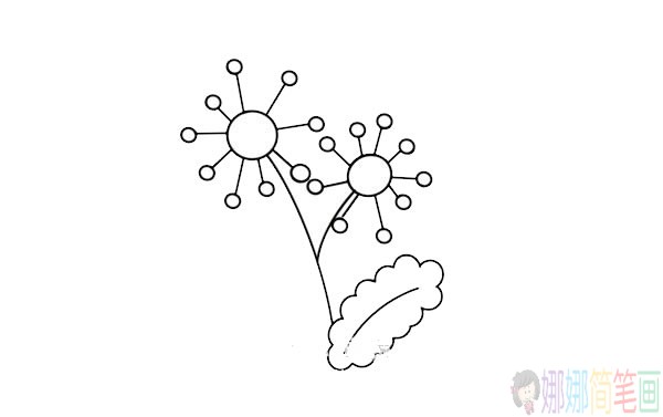 蒲公英简笔画步骤,彩色蒲公英简笔画图片大全