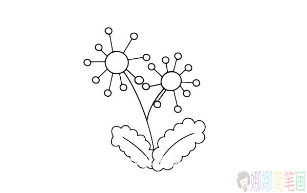 蒲公英简笔画步骤,彩色蒲公英简笔画图片大全