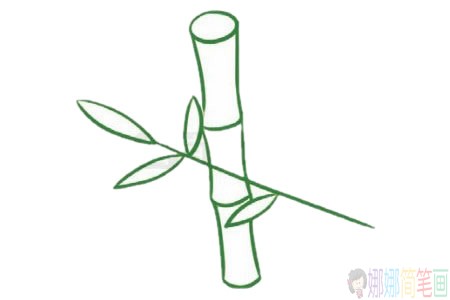 竹子简笔画图片大全,竹子怎么画简笔画