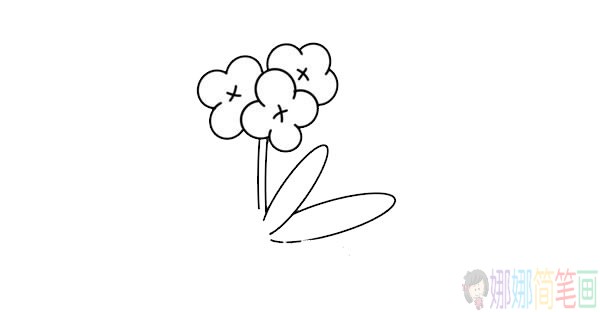 兰花简笔画图片大全,兰花简笔画步骤