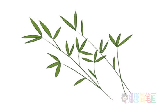竹子简笔画图片大全,竹子怎么画简笔画