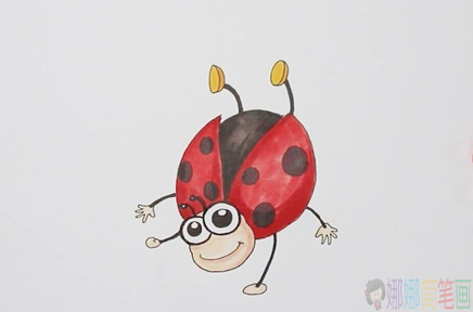 七星瓢虫简笔画图片步骤