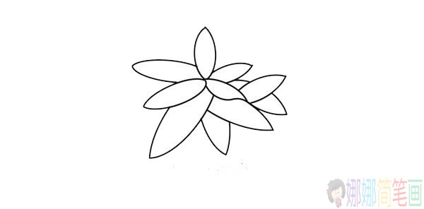 发财树简笔画画法,发财树简笔画步骤图片