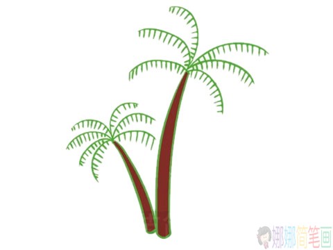好看的椰子树简笔画画法步骤图片大全