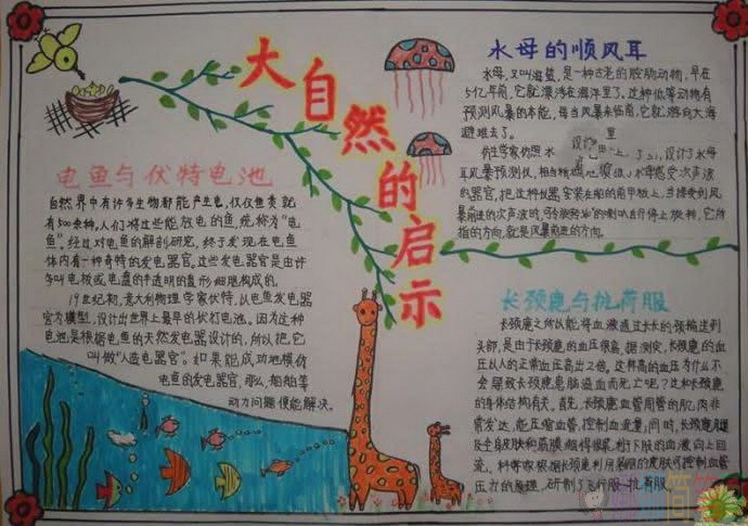 大自然手抄报,美丽的大自然主题的手抄报作品鉴赏