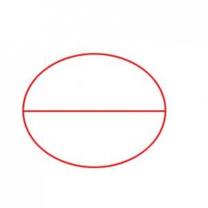 可爱的小丑鱼简笔画步骤图，教你学画简单的动物卡通画