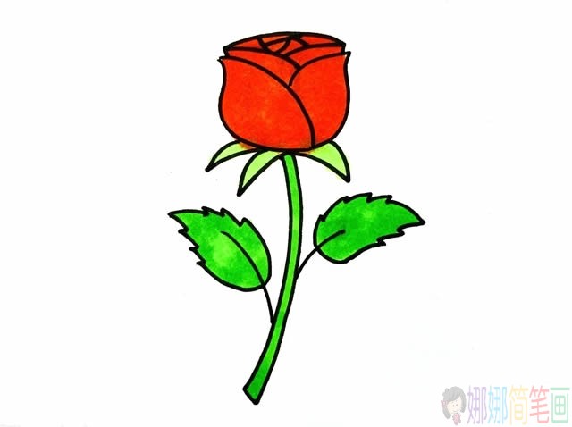 玫瑰花简笔画步骤图片,玫瑰花简笔画简单漂亮