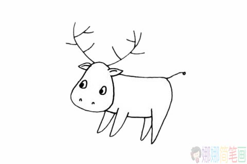 驼鹿简笔画,驼鹿简笔画步骤图解教程及图片大全