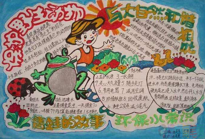 关于保护濒危动物的手抄报,保护野生动物手抄报作品图片大全