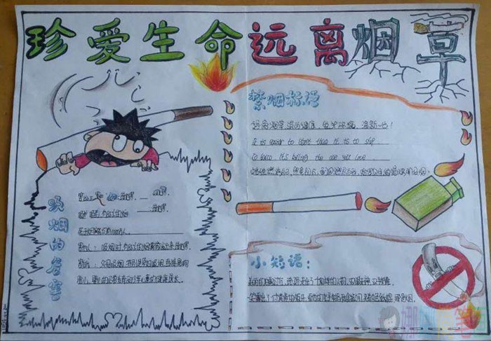 漂亮的世界无烟日手抄报作品大全，远离香烟爱我家园