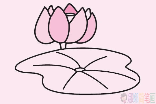 荷花简笔画步骤,荷花简笔画图片大全